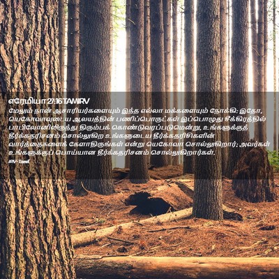 Picture 02 - எரேமியா 27:16 TAMIRV - மேலும் நான் - Bible Verse Picture