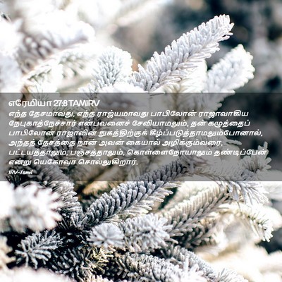 Picture 02 - எரேமியா 27:8 TAMIRV - எந்த தேசமாவது, - Bible Verse Picture