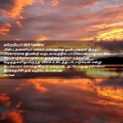 Picture 02 - எரேமியா 28:11 TAMIRV - பின்பு அனனியா - Bible Verse Picture
