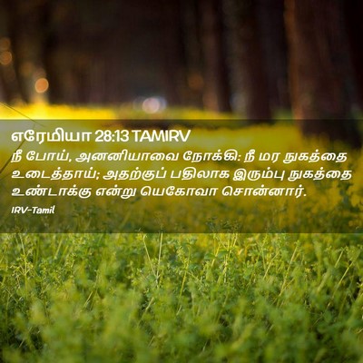 Picture 02 - எரேமியா 28:13 TAMIRV - நீ போய், அனனியாவை - Bible Verse Picture