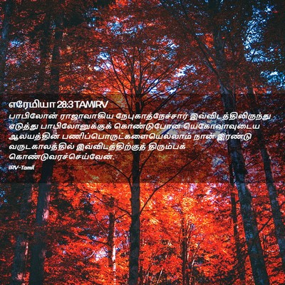 Picture 02 - எரேமியா 28:3 TAMIRV - பாபிலோன் - Bible Verse Picture