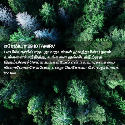 Picture 02 - எரேமியா 29:10 TAMIRV - பாபிலோனில் எழுபது - Bible Verse Picture