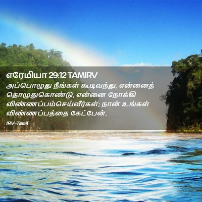 Picture 02 - எரேமியா 29:12 TAMIRV - அப்பொழுது நீங்கள் - Bible Verse Picture