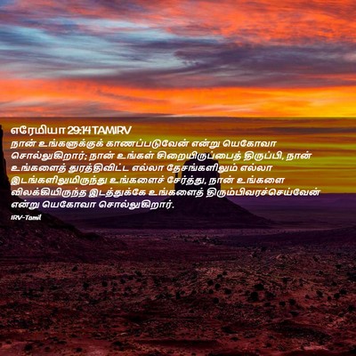 Picture 02 - எரேமியா 29:14 TAMIRV - நான் உங்களுக்குக் - Bible Verse Picture