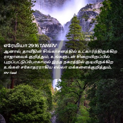 Picture 02 - எரேமியா 29:16 TAMIRV - ஆனால், தாவீதின் - Bible Verse Picture
