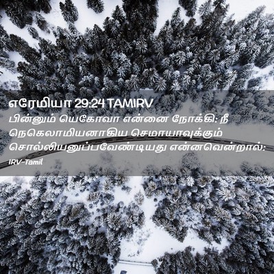 Picture 02 - எரேமியா 29:24 TAMIRV - பின்னும் யெகோவா - Bible Verse Picture