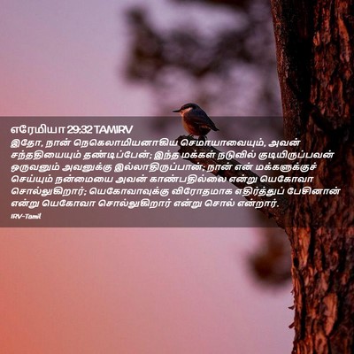 Picture 02 - எரேமியா 29:32 TAMIRV - இதோ, நான் - Bible Verse Picture