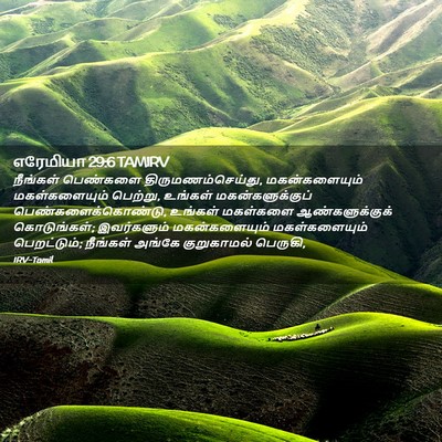 Picture 02 - எரேமியா 29:6 TAMIRV - நீங்கள் பெண்களை - Bible Verse Picture