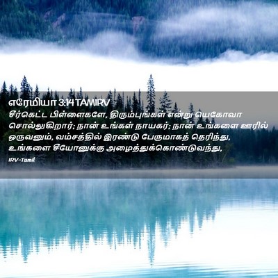 Picture 02 - எரேமியா 3:14 TAMIRV - சீர்கெட்ட - Bible Verse Picture