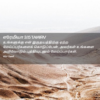 Picture 02 - எரேமியா 3:15 TAMIRV - உங்களுக்கு என் - Bible Verse Picture