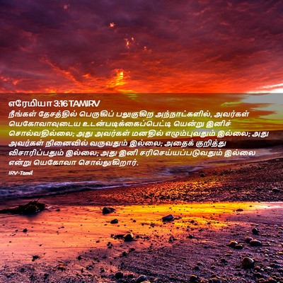 Picture 02 - எரேமியா 3:16 TAMIRV - நீங்கள் தேசத்தில் - Bible Verse Picture