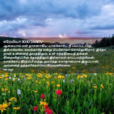 Picture 02 - எரேமியா 30:10 TAMIRV - ஆகையால் என் - Bible Verse Picture