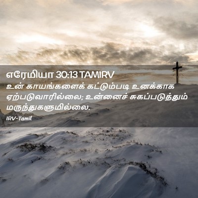 Picture 02 - எரேமியா 30:13 TAMIRV - உன் காயங்களைக் - Bible Verse Picture