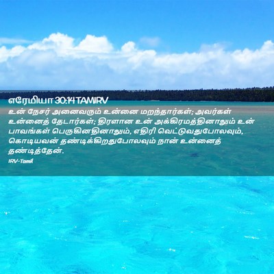 Picture 02 - எரேமியா 30:14 TAMIRV - உன் நேசர் - Bible Verse Picture