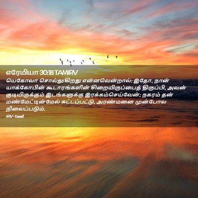 Picture 02 - எரேமியா 30:18 TAMIRV - யெகோவா - Bible Verse Picture