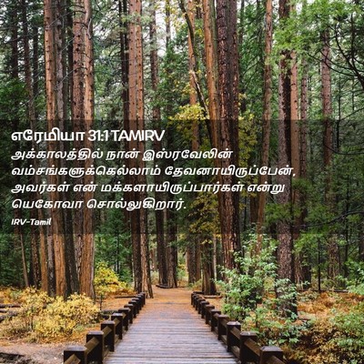 Picture 02 - எரேமியா 31:1 TAMIRV - அக்காலத்தில் நான் - Bible Verse Picture