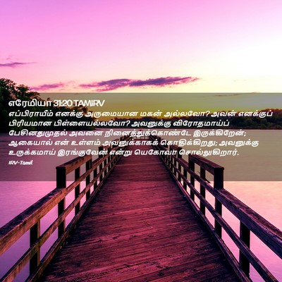 Picture 02 - எரேமியா 31:20 TAMIRV - எப்பிராயீம் - Bible Verse Picture