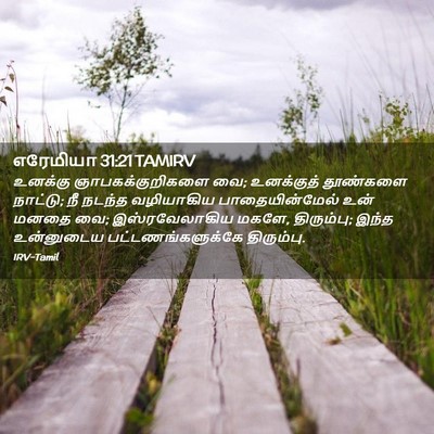 Picture 02 - எரேமியா 31:21 TAMIRV - உனக்கு - Bible Verse Picture