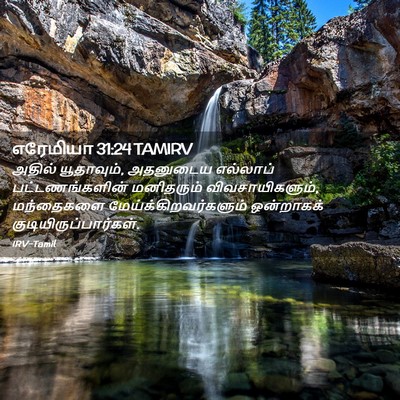 Picture 02 - எரேமியா 31:24 TAMIRV - அதில் யூதாவும், - Bible Verse Picture