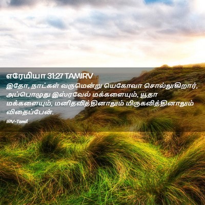 Picture 02 - எரேமியா 31:27 TAMIRV - இதோ, நாட்கள் - Bible Verse Picture