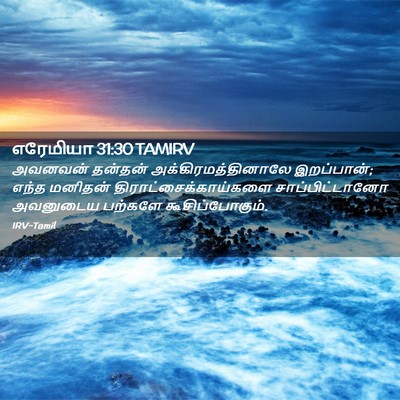Picture 02 - எரேமியா 31:30 TAMIRV - அவனவன் தன்தன் - Bible Verse Picture