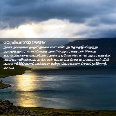 Picture 02 - எரேமியா 31:32 TAMIRV - நான் அவர்கள் - Bible Verse Picture