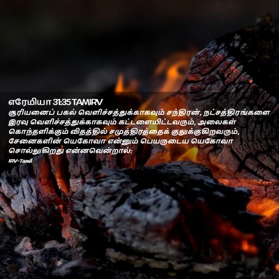 Picture 02 - எரேமியா 31:35 TAMIRV - சூரியனைப் பகல் - Bible Verse Picture
