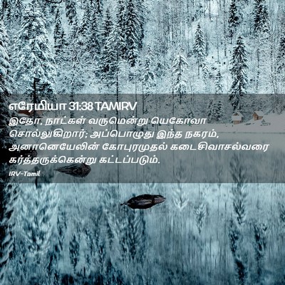 Picture 02 - எரேமியா 31:38 TAMIRV - இதோ, நாட்கள் - Bible Verse Picture
