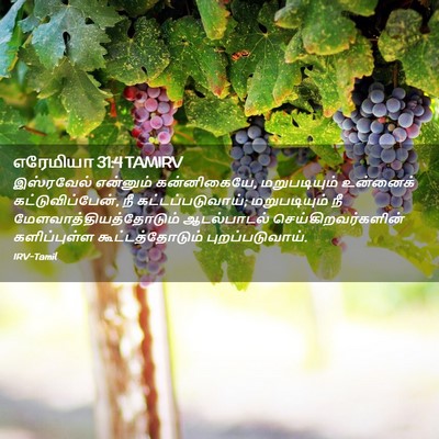 Picture 02 - எரேமியா 31:4 TAMIRV - இஸ்ரவேல் என்னும் - Bible Verse Picture