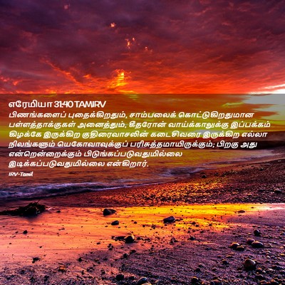 Picture 02 - எரேமியா 31:40 TAMIRV - பிணங்களைப் - Bible Verse Picture