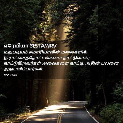 Picture 02 - எரேமியா 31:5 TAMIRV - மறுபடியும் - Bible Verse Picture