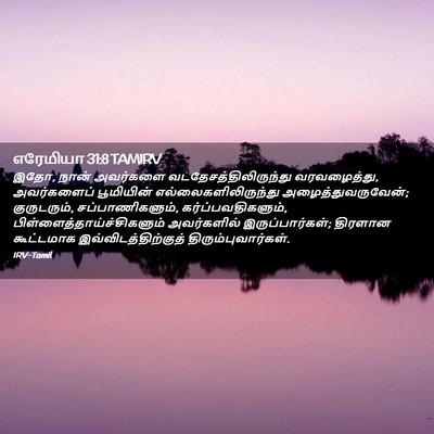 Picture 02 - எரேமியா 31:8 TAMIRV - இதோ, நான் அவர்களை - Bible Verse Picture