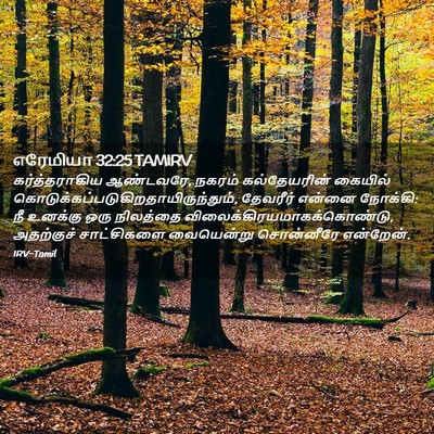 Picture 02 - எரேமியா 32:25 TAMIRV - கர்த்தராகிய - Bible Verse Picture