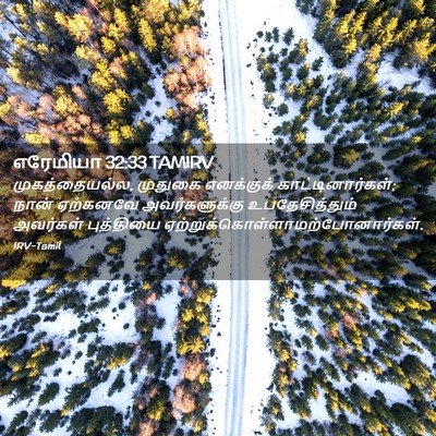 Picture 02 - எரேமியா 32:33 TAMIRV - முகத்தையல்ல, - Bible Verse Picture