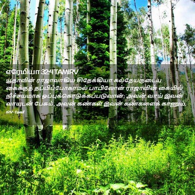 Picture 02 - எரேமியா 32:4 TAMIRV - யூதாவின் - Bible Verse Picture