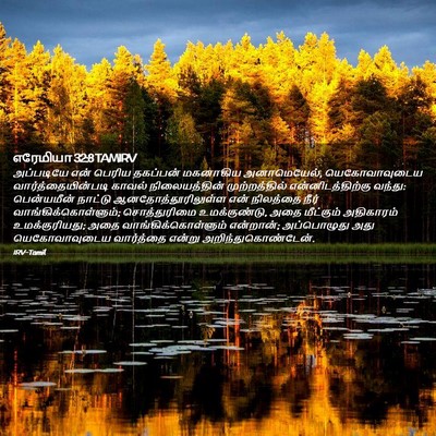 Picture 02 - எரேமியா 32:8 TAMIRV - அப்படியே என் - Bible Verse Picture