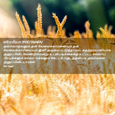 Picture 02 - எரேமியா 34:10 TAMIRV - ஒவ்வொருவனும் தன் - Bible Verse Picture
