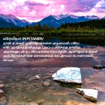 Picture 02 - எரேமியா 34:14 TAMIRV - நான் உங்கள் - Bible Verse Picture