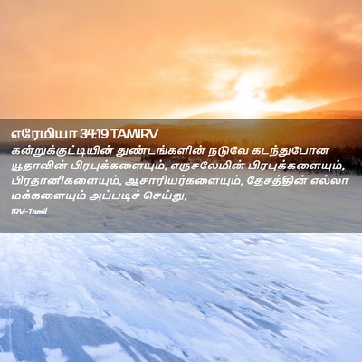 Picture 02 - எரேமியா 34:19 TAMIRV -  - Bible Verse Picture