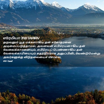 Picture 02 - எரேமியா 34:8 TAMIRV - ஒருவனும் யூத - Bible Verse Picture