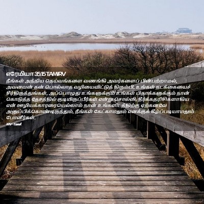 Picture 02 - எரேமியா 35:15 TAMIRV - நீங்கள் அந்நிய - Bible Verse Picture