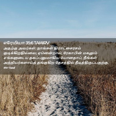 Picture 02 - எரேமியா 35:6 TAMIRV - அதற்கு அவர்கள்: - Bible Verse Picture