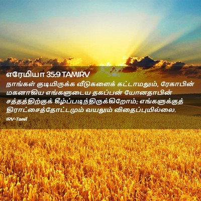 Picture 02 - எரேமியா 35:9 TAMIRV - நாங்கள் - Bible Verse Picture