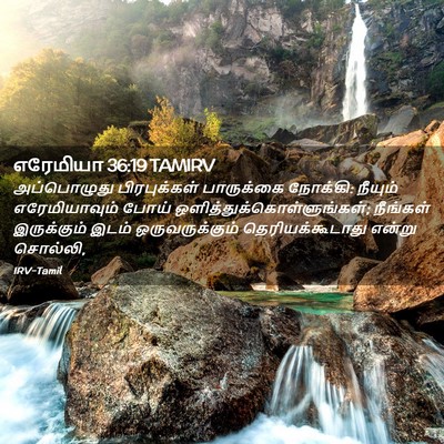 Picture 02 - எரேமியா 36:19 TAMIRV - அப்பொழுது - Bible Verse Picture