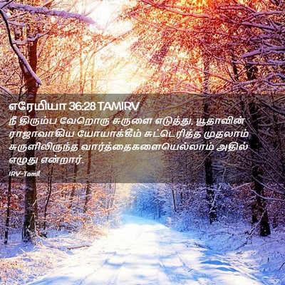 Picture 02 - எரேமியா 36:28 TAMIRV - நீ திரும்ப வேறொரு - Bible Verse Picture