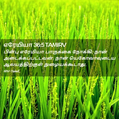 Picture 02 - எரேமியா 36:5 TAMIRV - பின்பு எரேமியா - Bible Verse Picture