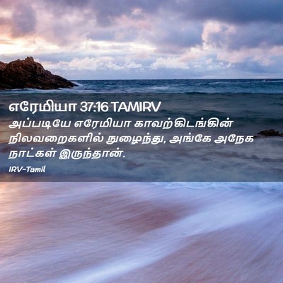 Picture 02 - எரேமியா 37:16 TAMIRV - அப்படியே எரேமியா - Bible Verse Picture