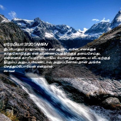 Picture 02 - எரேமியா 37:20 TAMIRV - இப்போதும் - Bible Verse Picture