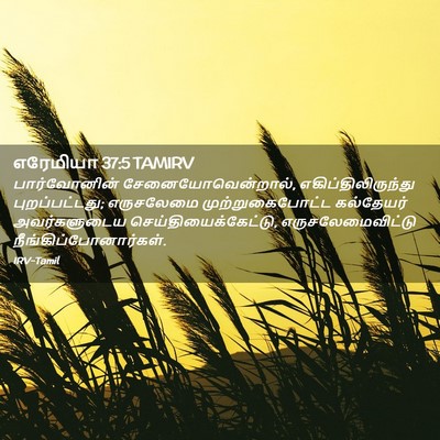 Picture 02 - எரேமியா 37:5 TAMIRV - பார்வோனின் - Bible Verse Picture
