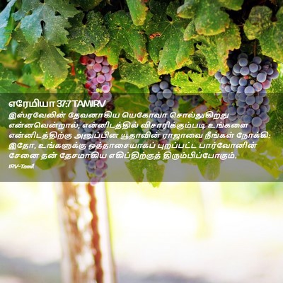 Picture 02 - எரேமியா 37:7 TAMIRV - இஸ்ரவேலின் - Bible Verse Picture